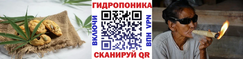 Cannafood конопля  Шахунья 