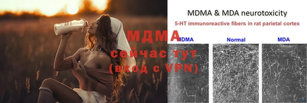 гидра Белокуриха