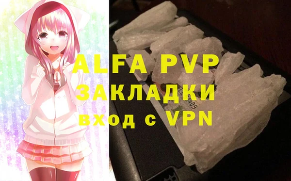 гидра Белокуриха