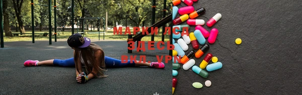 крисы Сатка