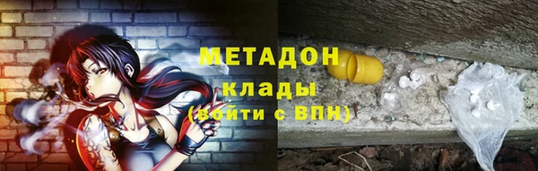 гидра Белокуриха