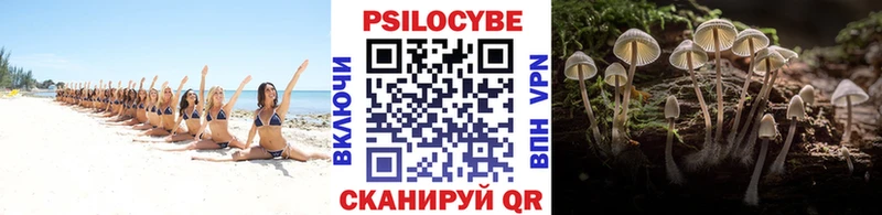 Галлюциногенные грибы ЛСД Шахунья